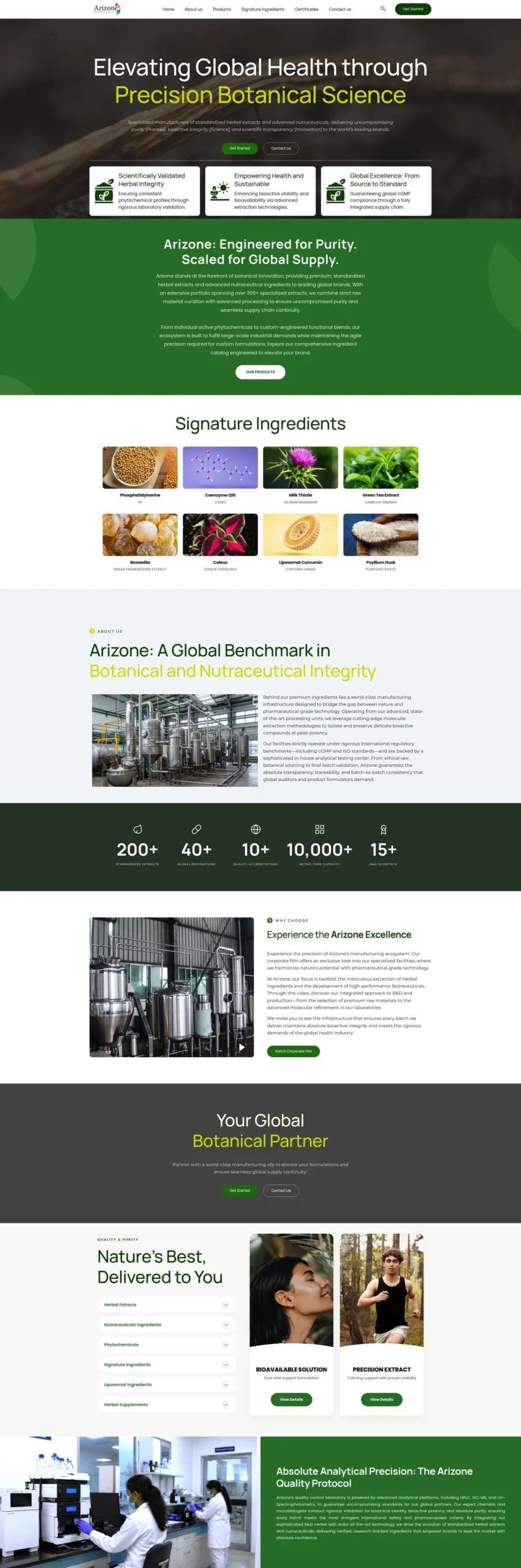 Arizone website full page preview